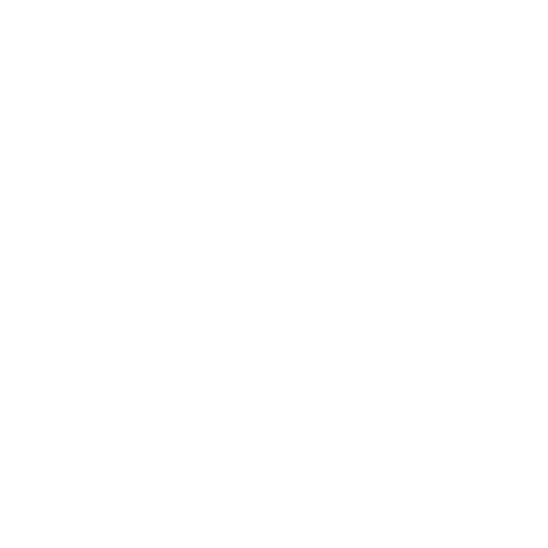 ProTech24/7 emblem